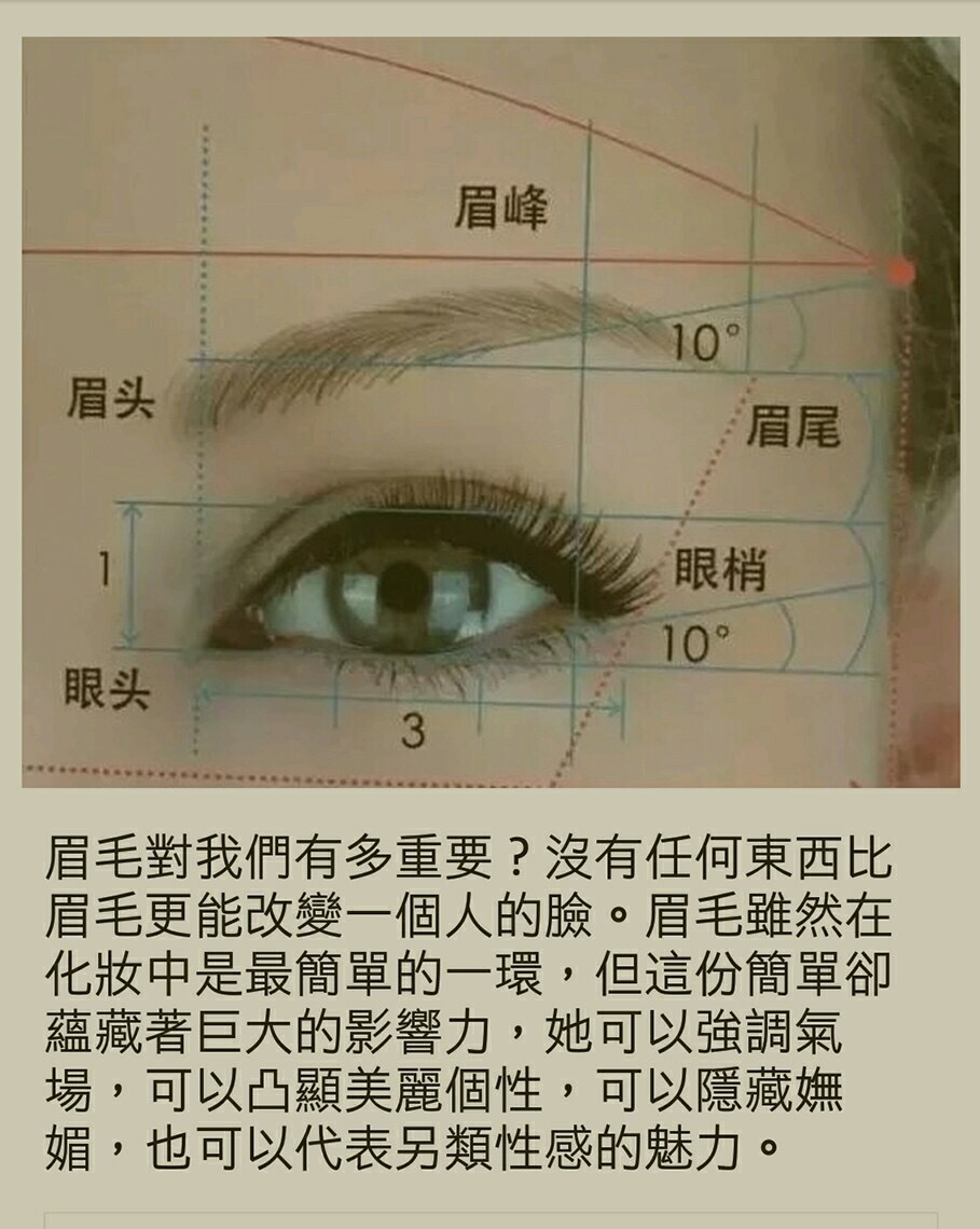 眉毛介紹